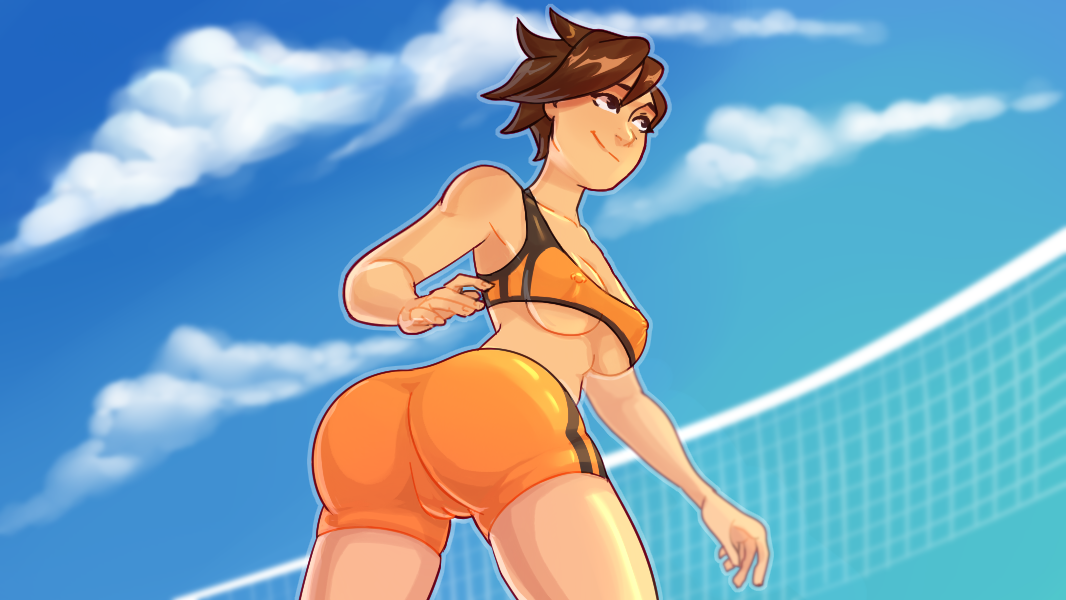 248555 pic tracer voleyball