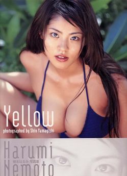 [雑誌] 根本はるみ写真集 x3