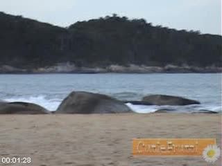 [Image: 112289472_001_Oli_Having_Fun_At_The_Beach.jpg]
