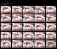 Free Image Hosting