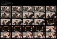 Free Image Hosting