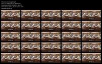 Free Image Hosting