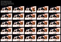 Free Image Hosting