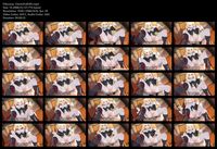 Free Image Hosting